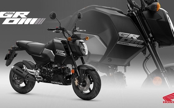 Neufahrzeug Honda MSX125 Grom - Bild 1