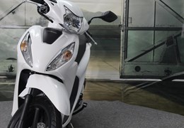 Gebrauchte Honda Vision 110