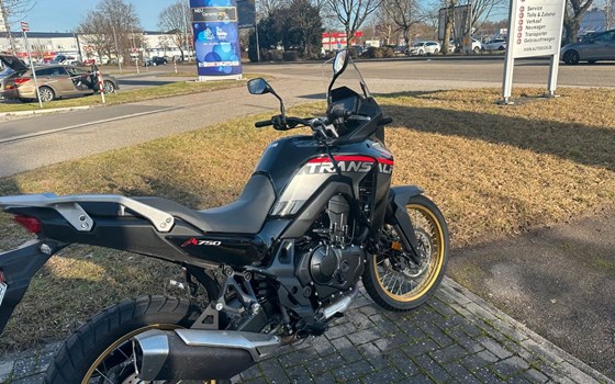 Gebrauchtmotorrad Honda XL750 Transalp - Bild 5