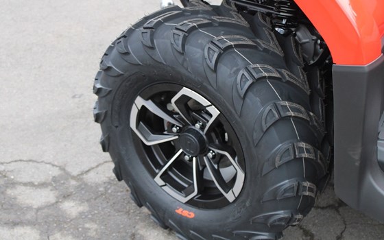 Neufahrzeug CFMOTO CFORCE 520 L - Bild 6