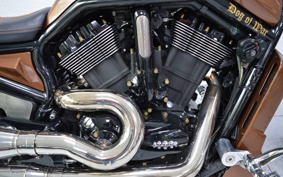 Gebrauchtmotorrad Harley-Davidson V-Rod VRSCA - Bild 3