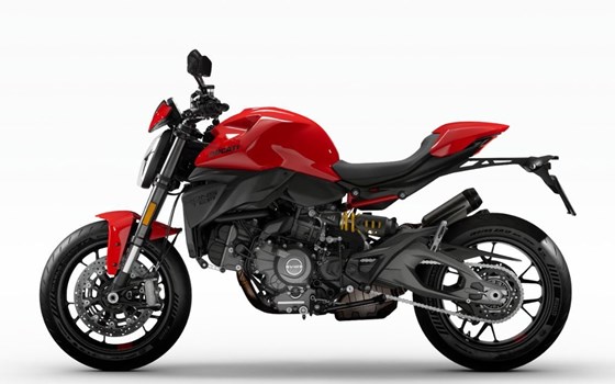 Neufahrzeug Ducati Monster + - Bild 3