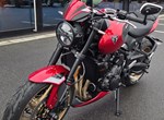 Angebot Triumph Trident 800