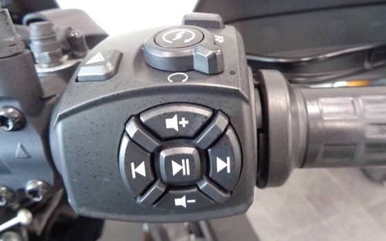 Gebrauchtmotorrad Harley-Davidson Pan America 1250 Special - Bild 4