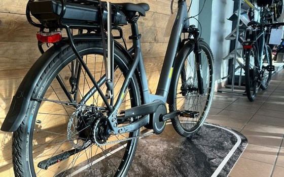 Neufahrzeug Trenoli BRENTA COMODO - Bild 3