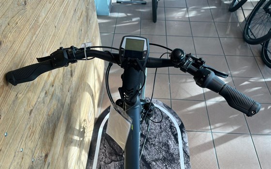 Neufahrzeug Trenoli BRENTA COMODO - Bild 4