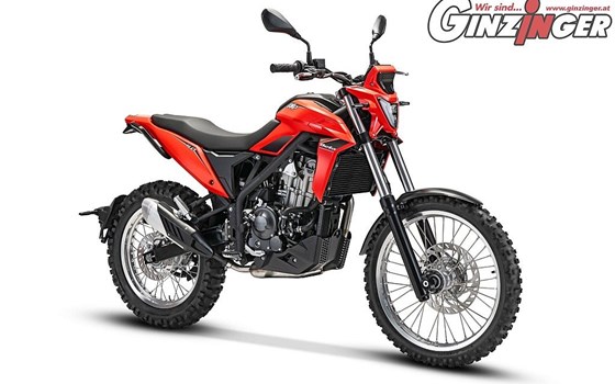 Neufahrzeug Beta Alp 4.0 - Bild 1