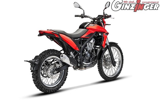 Neufahrzeug Beta Alp 4.0 - Bild 2