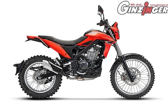 Neufahrzeug Beta Alp 4.0 - Bild 3