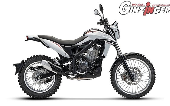 Neufahrzeug Beta Alp 4.0 - Bild 5