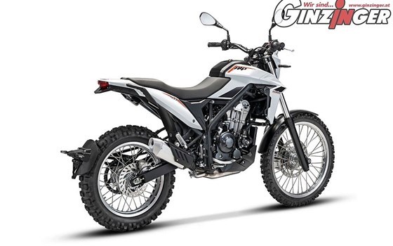 Neufahrzeug Beta Alp 4.0 - Bild 6