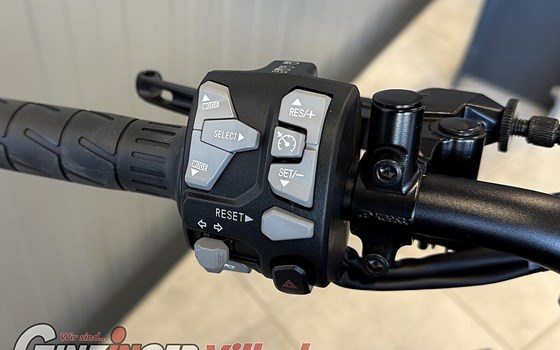 Neufahrzeug Kawasaki Z900 - Bild 10