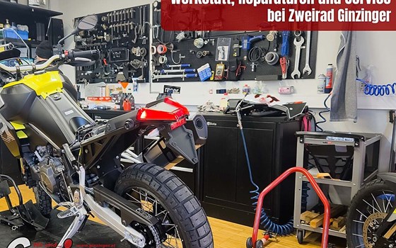 Neufahrzeug Suzuki GSX-8TT - Bild 15