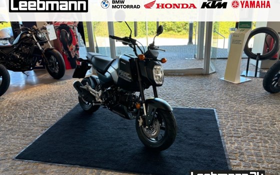 Gebrauchtmotorrad Honda MSX125 Grom - Bild 1