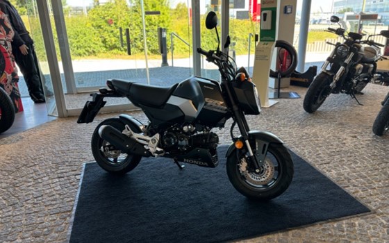 Gebrauchtmotorrad Honda MSX125 Grom - Bild 3