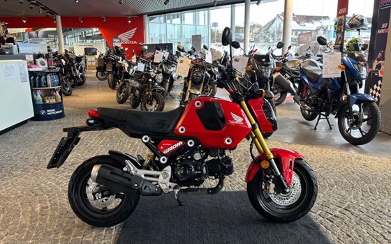 Gebrauchtmotorrad Honda MSX125 Grom - Bild 11