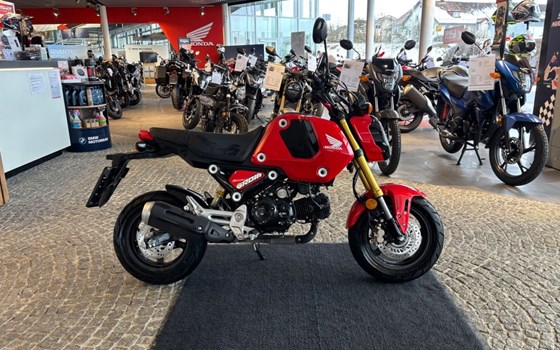 Gebrauchtmotorrad Honda MSX125 Grom - Bild 2