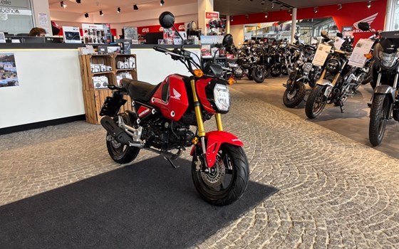 Gebrauchtmotorrad Honda MSX125 Grom - Bild 3