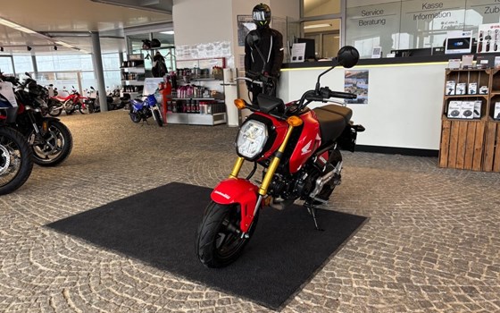 Gebrauchtmotorrad Honda MSX125 Grom - Bild 4