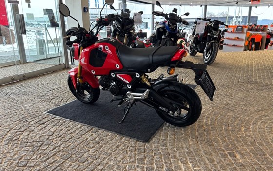 Gebrauchtmotorrad Honda MSX125 Grom - Bild 5