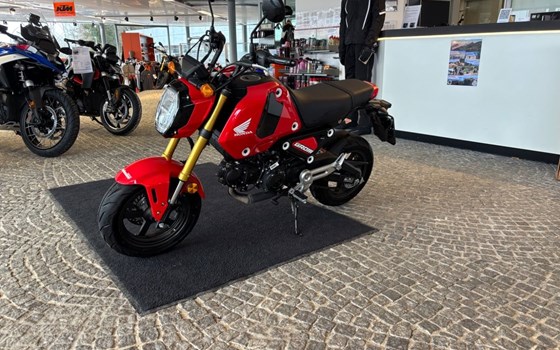 Gebrauchtmotorrad Honda MSX125 Grom - Bild 7