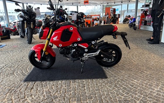 Gebrauchtmotorrad Honda MSX125 Grom - Bild 8
