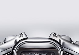 Gebrauchte Harley-Davidson Softail Fat Boy S