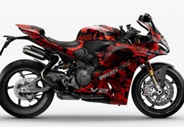 Neumotorrad Ducati Panigale V2 FB63