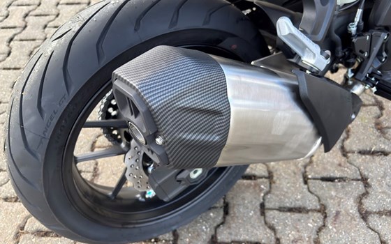 Neufahrzeug Voge R625 - Bild 4