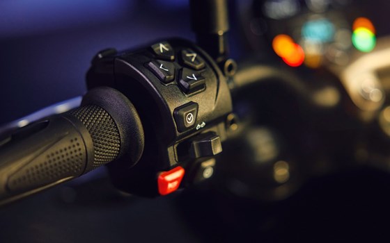 Gebrauchtmotorrad Triumph Trident 660 - Bild 6