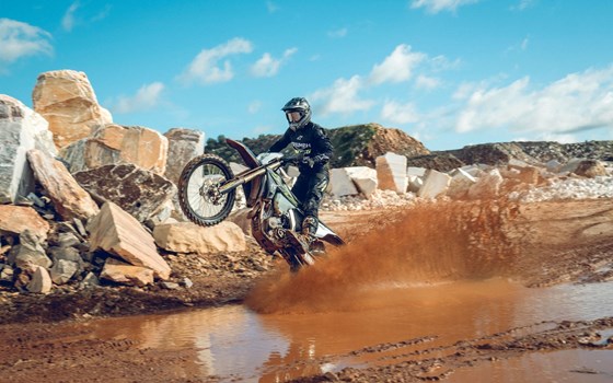 Offerta Triumph TF 450-E - Immagine 2