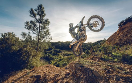 Offerta Triumph TF 450-E - Immagine 5