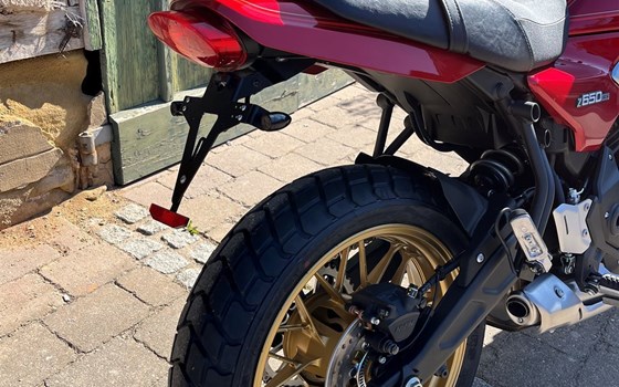 Neufahrzeug Kawasaki Z650 RS - Bild 8