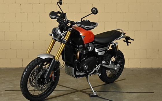 Neufahrzeug Triumph Scrambler 1200 XE - Bild 3