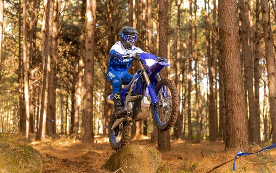 Neufahrzeug Yamaha WR450F - Bild 2