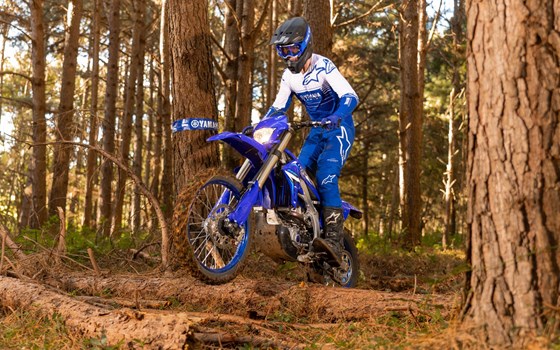 Neufahrzeug Yamaha WR250F - Bild 2