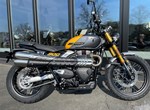 Angebot Triumph Scrambler 900