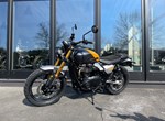 Angebot Triumph Scrambler 900