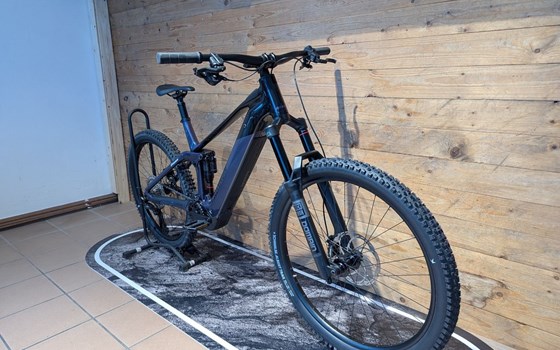 Neufahrzeug Raymon Tarok Pro - Bild 2