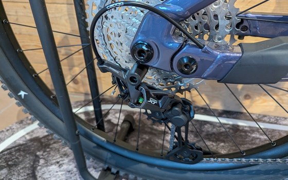 Neufahrzeug Raymon Tarok Pro - Bild 4