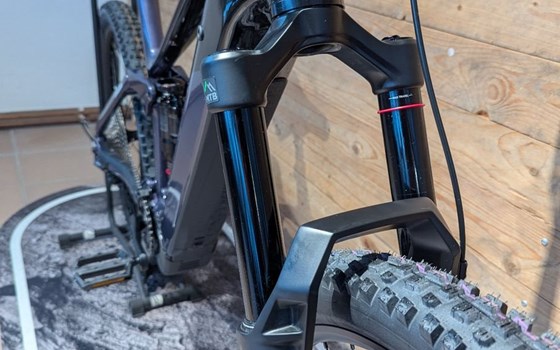 Neufahrzeug Raymon Tarok Pro - Bild 7