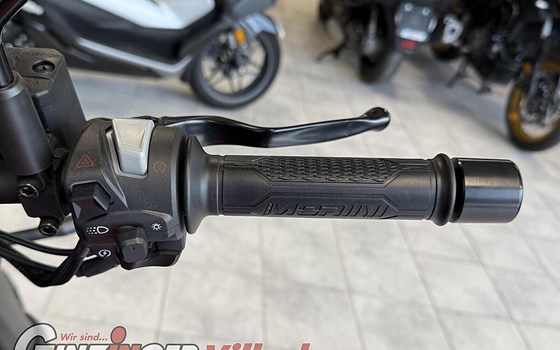 Neufahrzeug Moto Morini 6 1/2 Seiemmezzo STR - Bild 10