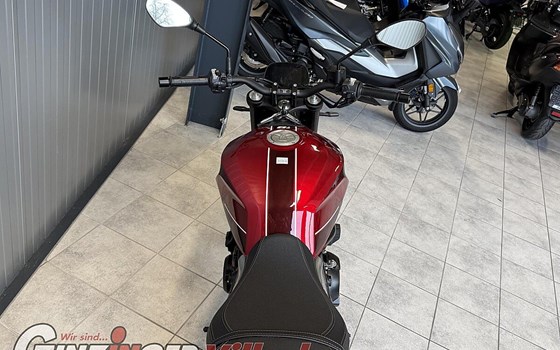 Neufahrzeug Moto Morini 6 1/2 Seiemmezzo STR - Bild 4