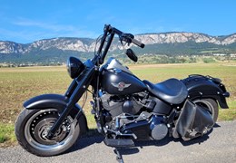 Gebrauchte Harley-Davidson Softail Fat Boy Special FLSTFB
