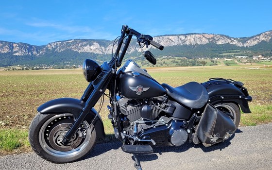 Gebrauchtmotorrad Harley-Davidson Softail Fat Boy Special FLSTFB - Bild 1