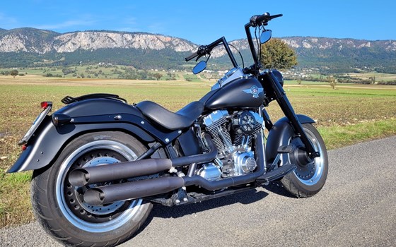 Gebrauchtmotorrad Harley-Davidson Softail Fat Boy Special FLSTFB - Bild 7