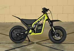 Neumotorrad Triumph TRW