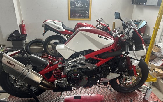 Gebrauchtmotorrad Bimota DB 7 - Bild 9