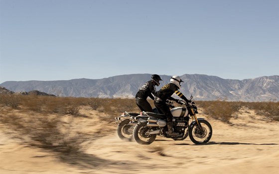 Gebrauchtmotorrad Triumph Scrambler 1200 XE - Bild 7