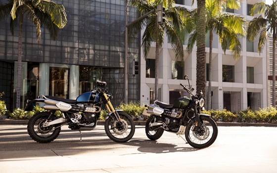 Gebrauchtmotorrad Triumph Scrambler 1200 XE - Bild 8